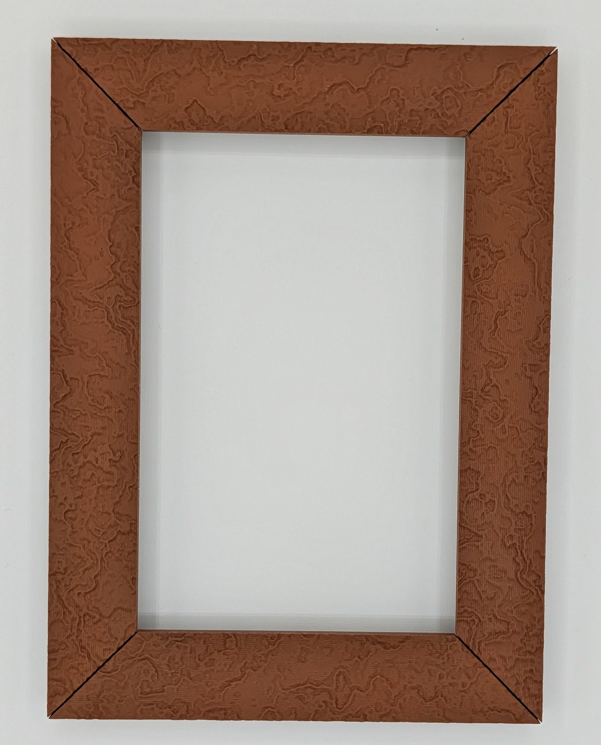 SNAPFRAMES: Burl Wood Collection